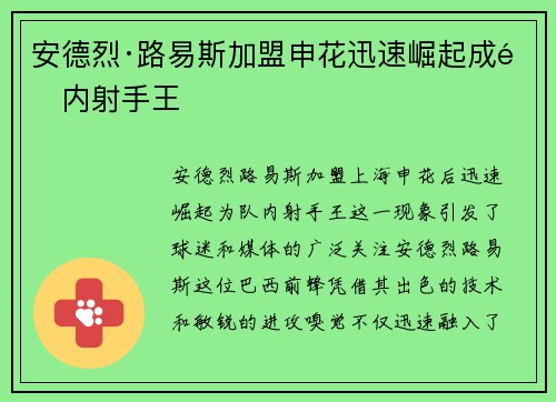 安德烈·路易斯加盟申花迅速崛起成队内射手王